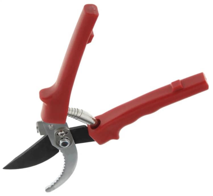 Секатор ПРОФИ большой 220мм кольц/пружина. Упаковка: блистер (арт.СИ-00241)