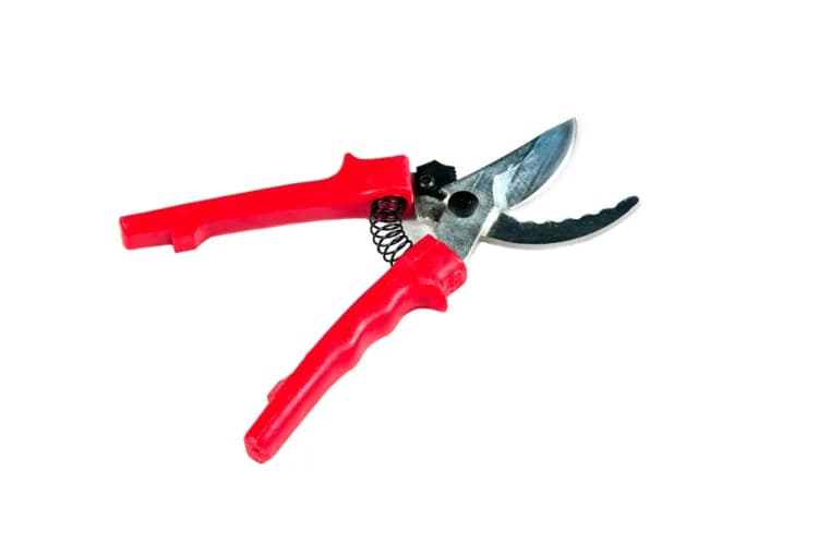 Секатор универсальный 220мм НУ (хо)